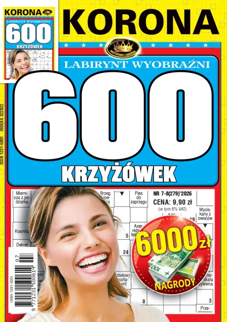 Okładka — Labirynt Wyobraźni